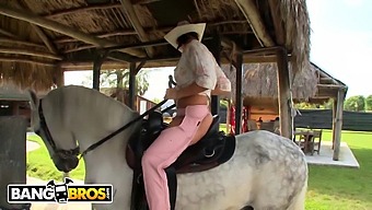 Rachel Starr'S Impressive Penis Riding Skills On A Horse