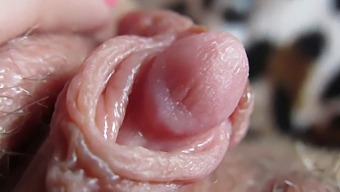 Up Close And Personal With My Swollen Clit